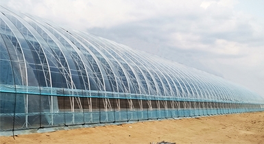 水蓄熱內（雙）保溫裝配式日光溫室專利集成技術助力呼市地區蔬菜產業高質量發展